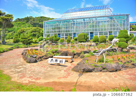 伊豆半島・南伊豆・爪木崎・爪木崎花園の見どころ、四季折々の花が咲き乱れる温室・静岡県下田市(2) 伊豆半島・南伊豆・爪木崎・爪木崎花園の見どころ、四季折々の花が咲き乱れる温室・静岡県下田市(2) 106687362