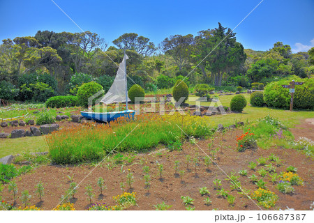 伊豆半島・南伊豆・爪木崎・爪木崎花園、園内の所々に設置された撮影スポット・静岡県下田市(4) 106687387