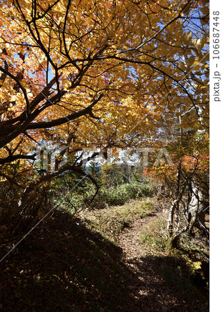 帝釈山から田代山へ、登山、福島県 106687448