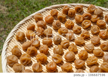 梅　土用干しの様子 106687596