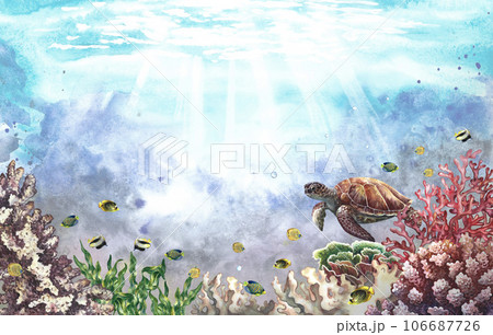 Underwater sea world. Watercolor hand drawn. For background for labels, business cards and banners, flyers and brochures 106687726