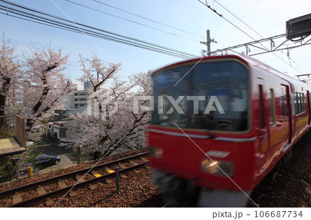 通過する電車と駅の桜 通過する電車と駅の桜 106687734