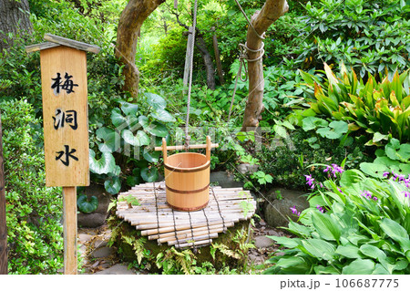 向島百花園　梅洞水（東京都墨田区） 106687775