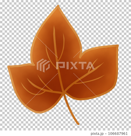 Maple leaf autumn season  106687961