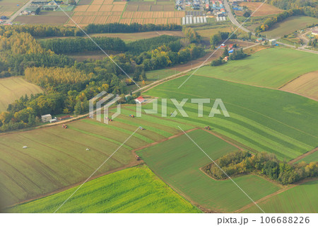 北海道美瑛_パッチワークの丘の空撮風景 106688226