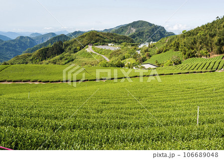 Beautiful tea plantation landscape on the mountaintop of Shizhao in Chiayi, Taiwan. Beautiful tea plantation landscape on the mountaintop of Shizhao in Chiayi, Taiwan. 106689048