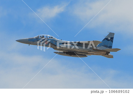 雲上の航空自衛隊飛行教導群F-15DJイーグル 雲上の航空自衛隊飛行教導群F-15DJイーグル 106689102