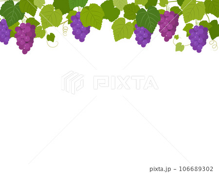 ブドウ畑の背景フレーム 106689302