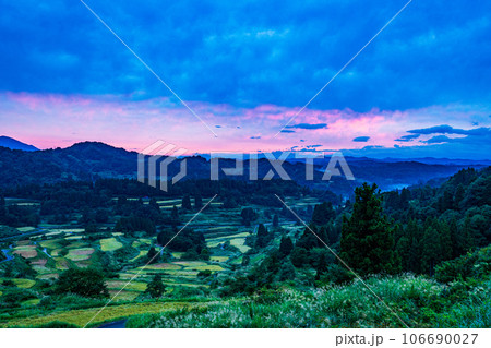 (新潟県)稲穂実る星峠の棚田 朝焼け (新潟県)稲穂実る星峠の棚田 朝焼け 106690027