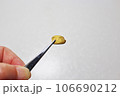 自然金　砂金 ナゲット 106690212