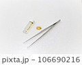 砂金採取　砂金 106690216