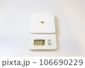砂金　重量　計測 106690229
