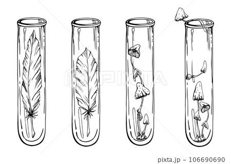 Hand drawn ink vector glass vial test tube, bird feather mushrooms. Illustration art witchcraft, medicine chemistry, alchemy. Isolated object outline. Design shops, logo, print, website, card, booklet Hand drawn ink vector glass vial test tube, bird feather mushrooms. Illustration art witchcraft, medicine chemistry, alchemy. Isolated object outline. Design shops, logo, print, website, card, booklet 106690690