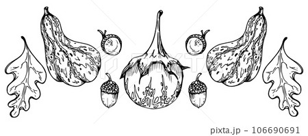 Hand drawn ink vector eggplant aubergine gourd squash. Sketch illustration art for Thanksgiving, harvest, farming. Isolated object, outline. Design for restaurant menu print, cafe, website, invitation Hand drawn ink vector eggplant aubergine gourd squash. Sketch illustration art for Thanksgiving, harvest, farming. Isolated object, outline. Design for restaurant menu print, cafe, website, invitation 106690691
