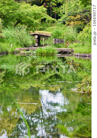 向島百花園（東京都墨田区） 106690717