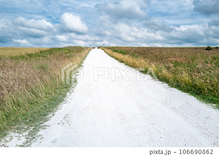 宗谷丘陵の白い道 106690862