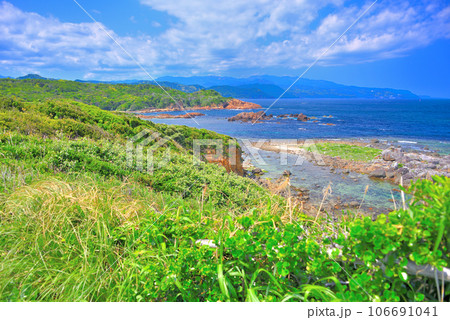 伊豆半島・南伊豆・爪木崎・灯台の周りを一周出来る歩道から池の段ビーチ方向を眺める・静岡県下田市(2) 106691041