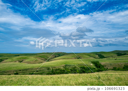 宗谷丘陵の絶景 106691323
