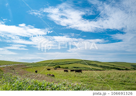 宗谷丘陵の絶景 106691326
