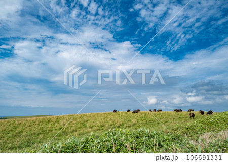 宗谷丘陵の絶景 106691331