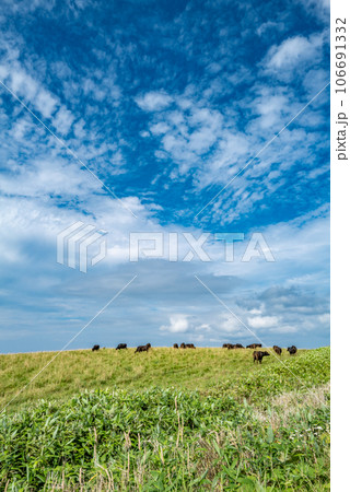 宗谷丘陵の絶景 宗谷丘陵の絶景 106691332