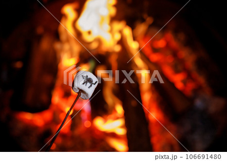 Marshmallows with Halloween pictures over fire. Funny leisure on traditional spooky holiday for children and families. Marshmallows with Halloween pictures over fire. Funny leisure on traditional spooky holiday for children and families. 106691480
