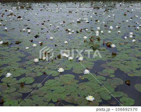 利根親水公園 利根親水公園 106692570