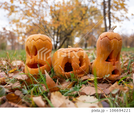 Three jack-o-lantern pumpkins on fallen leaves in a park. Halloween decorations. Three jack-o-lantern pumpkins on fallen leaves in a park. Halloween decorations. 106694221