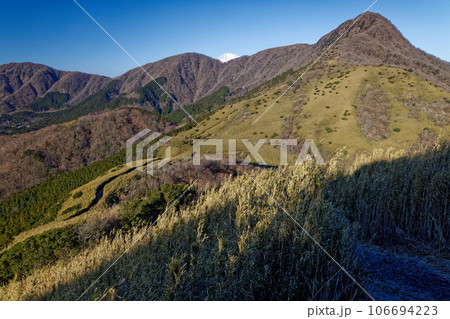 箱根・矢倉沢峠付近から見る金時山と富士山 箱根・矢倉沢峠付近から見る金時山と富士山 106694223