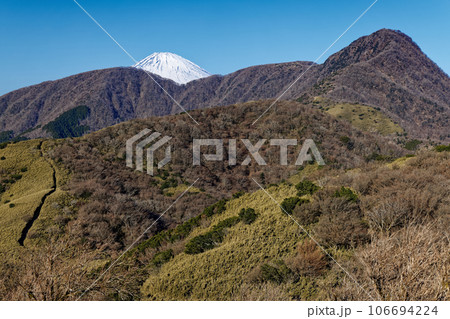 箱根・矢倉沢峠付近から見る金時山と富士山 106694224