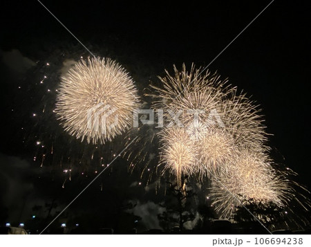 夏の夜空に咲く花火 夏の夜空に咲く花火 106694238