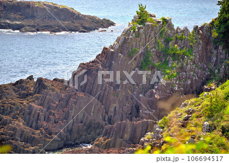 伊豆半島・南伊豆・爪木崎・ジオサイト、柱状節理が整然と並ぶ俵磯の眺め・静岡県下田市(3) 106694517