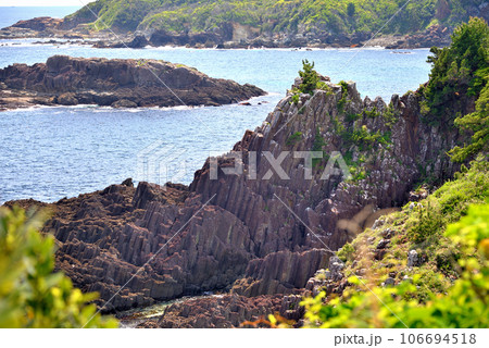 伊豆半島・南伊豆・爪木崎・ジオサイト、柱状節理が整然と並ぶ俵磯の眺め・静岡県下田市(4) 106694518