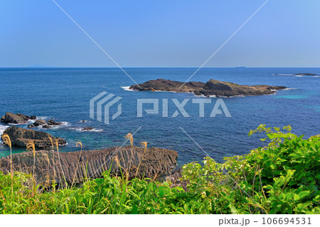 伊豆半島・南伊豆・爪木崎・ジオサイト、柱状節理が整然と並ぶ俵磯と、青い海の眺め・静岡県下田市(2) 106694531