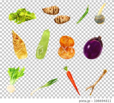 京野菜セット 106694811