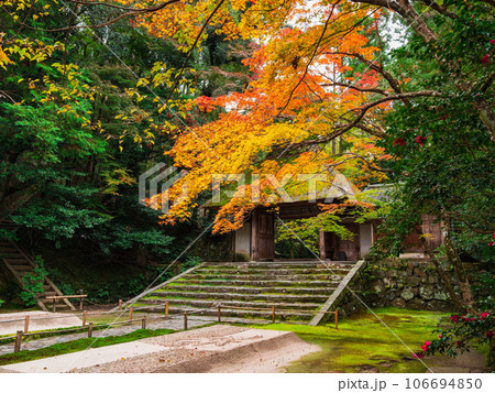 秋の京都 法然院 山門と白砂壇 秋の京都 法然院 山門と白砂壇 106694850