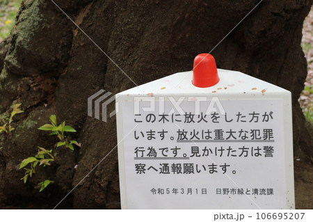 桜の木への放火犯 106695207