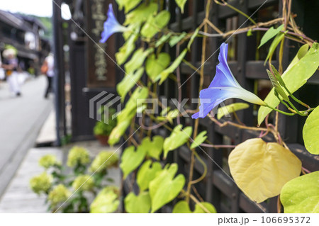 230908さんまちz034 106695372