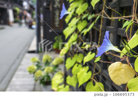 230908さんまちz030 106695373