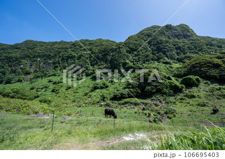 生月サンセットウェイ 生月サンセットウェイ 106695403