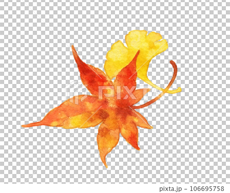 Watercolor style autumn leaves illustration Watercolor style autumn leaves illustration 106695758