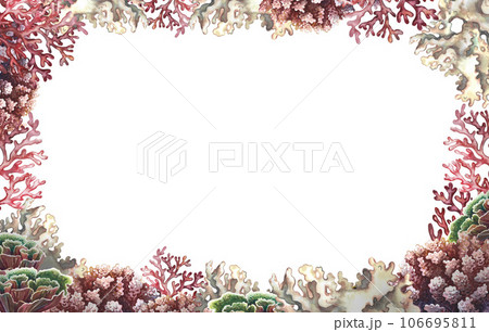 Coral frame. Undersea world. Watercolor hand drawn. Aquarium, tropical reef. Concept for label, business card and banner 106695811