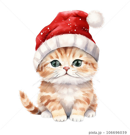 Cat with santa claus hat. Cat with santa claus hat. 106696039