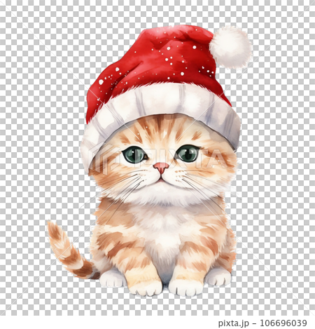 Cat with santa claus hat. Cat with santa claus hat. 106696039