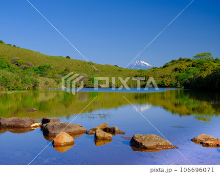 静岡伊豆_氷ヶ池と富士山の風景 106696071
