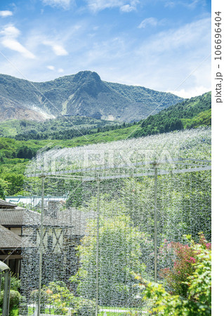 夏の箱根ガラスの森美術館　 106696404