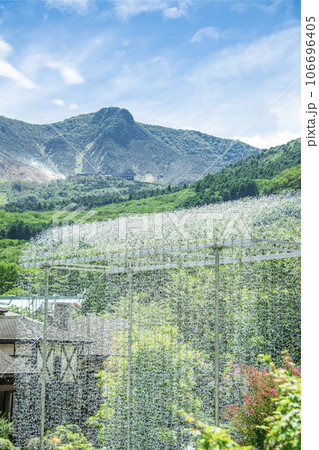 夏の箱根ガラスの森美術館　 106696405