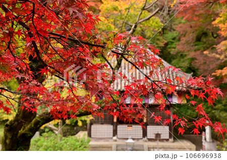 長谷寺の紅葉風景 長谷寺の紅葉風景 106696938