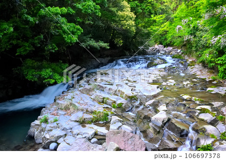 伊豆半島・中伊豆・河津七滝・入口の橋から眺める河津川・静岡県河津町(2) 伊豆半島・中伊豆・河津七滝・入口の橋から眺める河津川・静岡県河津町(2) 106697378