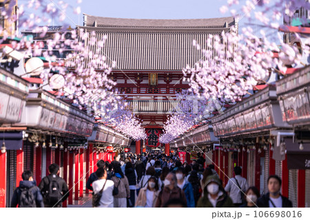 《東京都》春の浅草・早朝の浅草寺仲見世通り 106698016